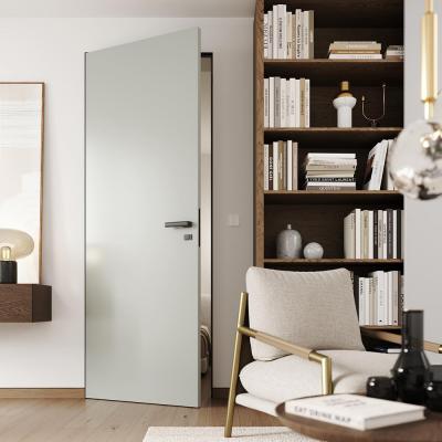 SecretDoors дверь межкомнатная скрытого монтажа SD Color супермат щитовое полотно - Альберо