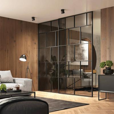 Двері міжкімнатні ALUDOORS Geometry - Альберо