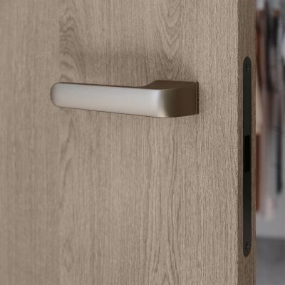 SecretDoors двері міжкімнатні прихованого монтажу SD Veneer шпон натуральний тонований + лак щитове полотно - Альберо
