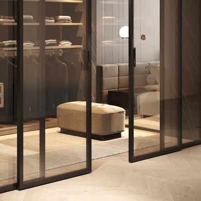 Двері міжкімнатні  Розсувні ALUDOORS CLEAR - Альберо