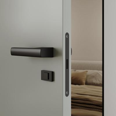 SecretDoors дверь межкомнатная скрытого монтажа SD Color супермат щитовое полотно - Альберо