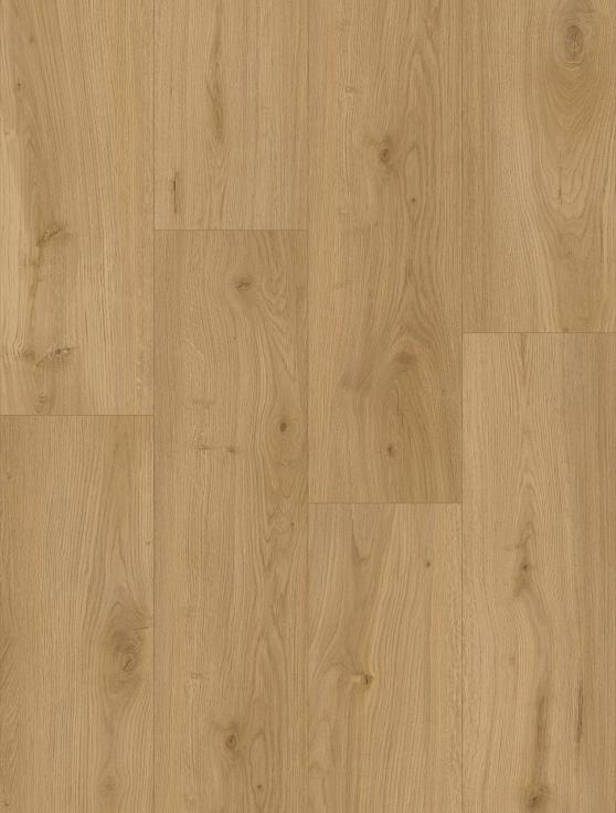 Вінілова підлога Oceania XL Colin 5Gi 228x1500х6 Beaulieu Canada - Альберо