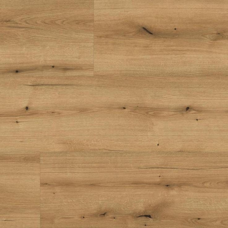 Ламінат Kaindl Natural Touch Standard Plank K5573 Дуб Evoke Coast - Альберо