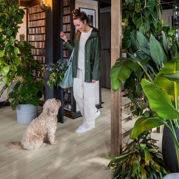 Ламінат Capture Дуб шліфований сірий 1380х212x9 Quick-Step - Альберо