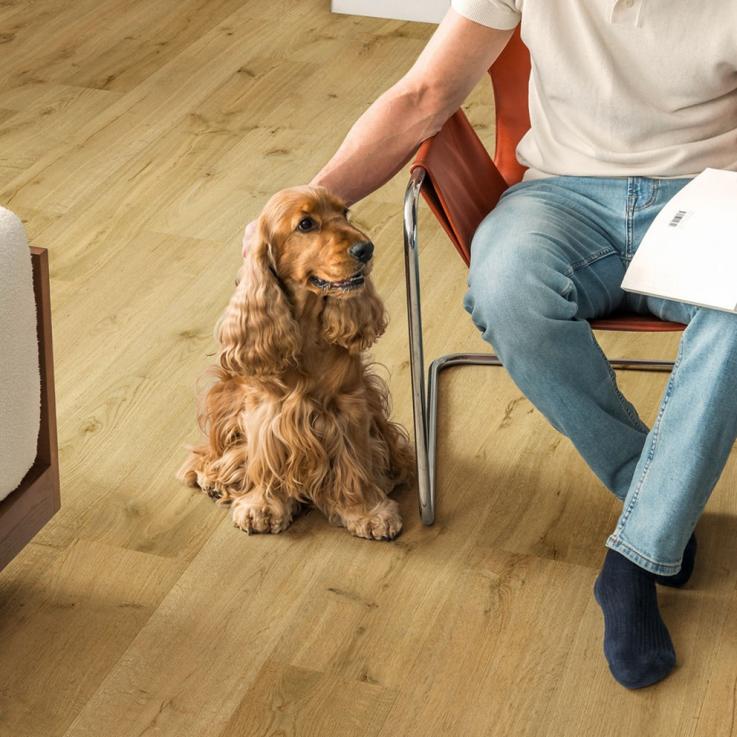 Ламинат Impressive Ultra Дуб трюфель 1380х190x12 Quick-Step - Альберо