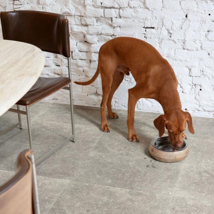 Ламинат Muse Голубой камень сизый 1200х396x8 Quick-Step - Альберо